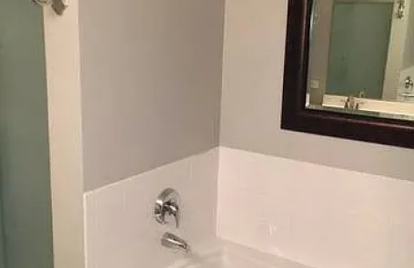 1 Bedroom South Loop Apartment