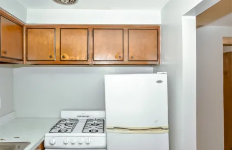 Studio Lincoln Park Apartment