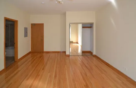 Studio Lakeview Apartment