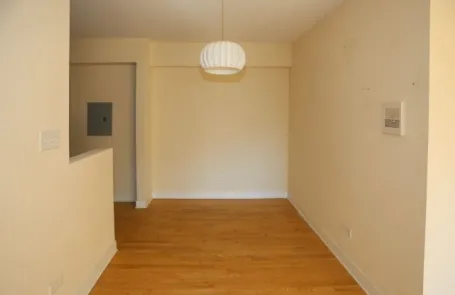 1 Bedroom Lincoln Park Apartment
