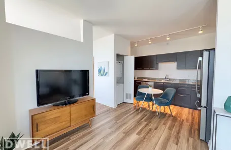 1 Bedroom Lincoln Park Apartment