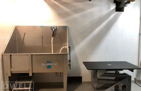 1 Bedroom Lakeview Apartment