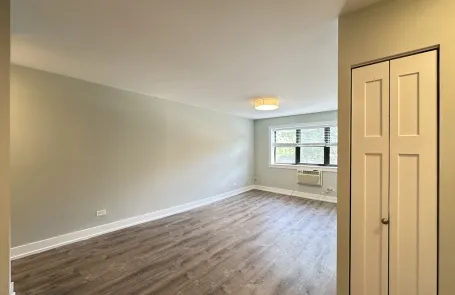 1 Bedroom Lakeview Apartment