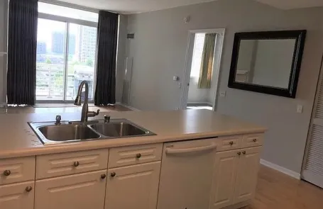 1 Bedroom South Loop Apartment