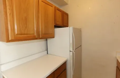 Studio Lakeview Apartment