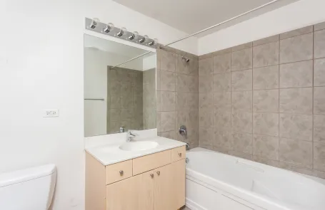 1 Bedroom Chicago Loop Apartment