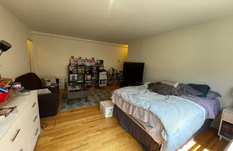 Studio Lakeview Apartment