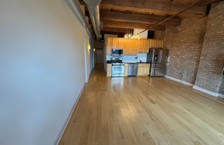 1 Bedroom South Loop Apartment