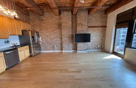 1 Bedroom South Loop Apartment