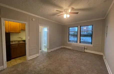 Studio Lakeview Apartment