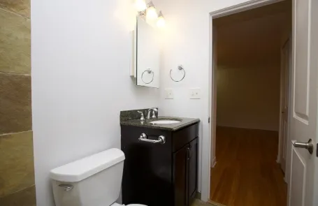 1 Bedroom Lincoln Park Apartment