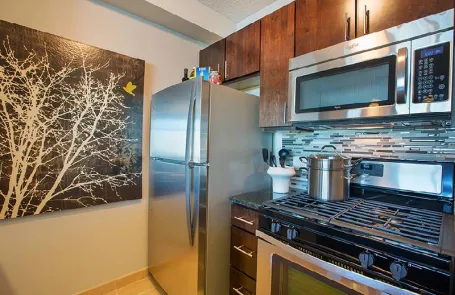 Studio Streeterville Apartment