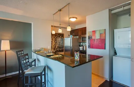 Studio Streeterville Apartment