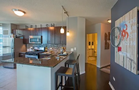 2 Bedroom Streeterville Apartment