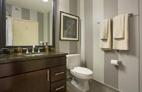 2 Bedroom Streeterville Apartment