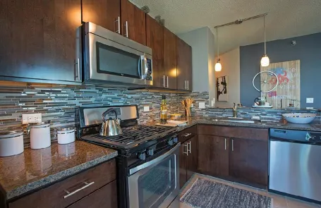 1 Bedroom Streeterville Apartment
