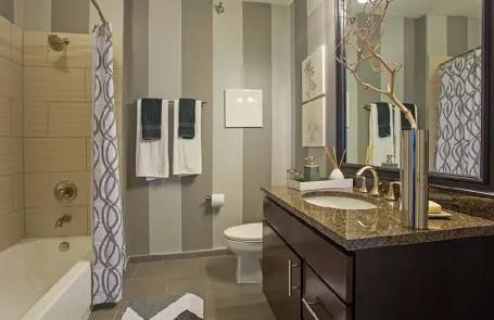 1 Bedroom Streeterville Apartment
