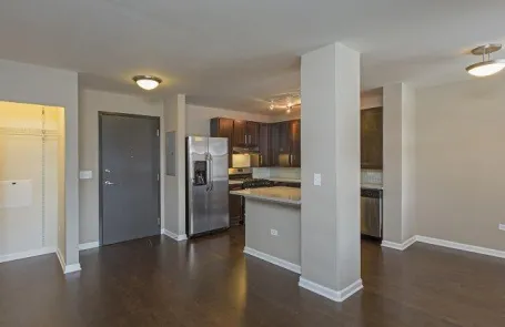 1 Bedroom South Loop Apartment
