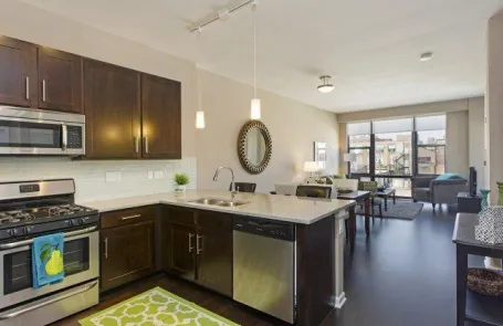 1 Bedroom South Loop Apartment