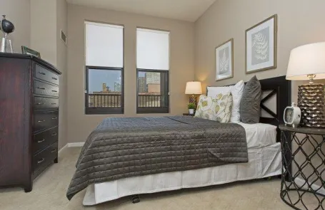 1 Bedroom South Loop Apartment