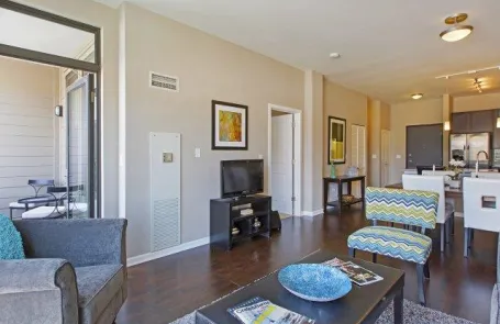 1 Bedroom South Loop Apartment