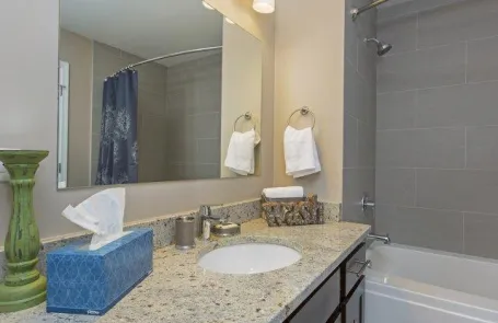 1 Bedroom South Loop Apartment