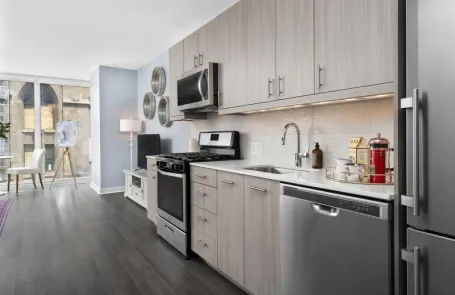 Studio Chicago Loop Apartment