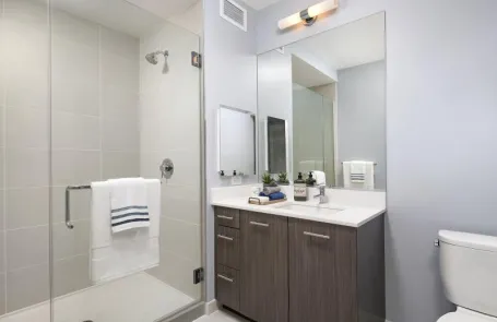 1 Bedroom Chicago Loop Apartment