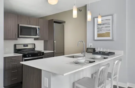 1 Bedroom Chicago Loop Apartment