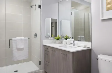 2 Bedroom Chicago Loop Apartment