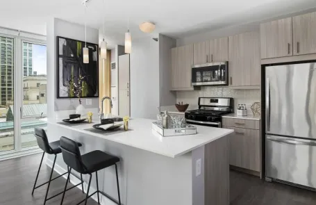 2 Bedroom Chicago Loop Apartment