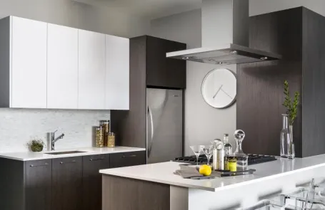 1 Bedroom Chicago Loop Apartment