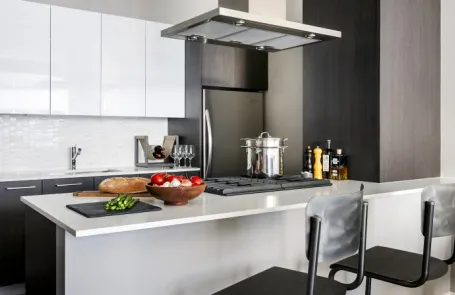 2 Bedroom Chicago Loop Apartment