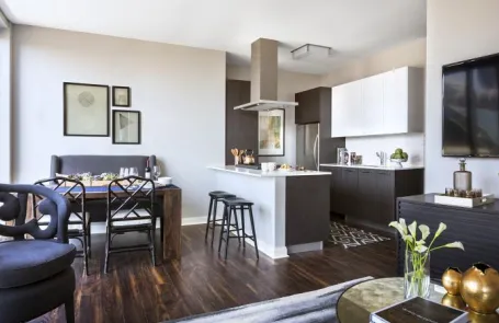3 Bedroom Chicago Loop Apartment