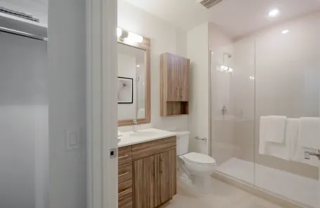 2 Bedroom Streeterville Apartment