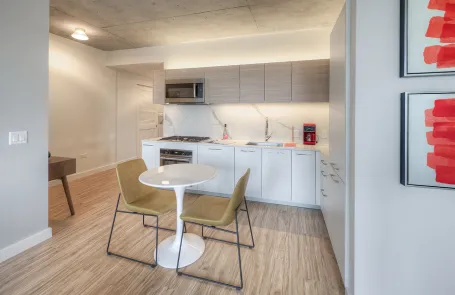 1 Bedroom West Loop Apartment