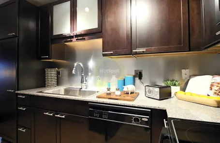 2 Bedroom Chicago Loop Apartment