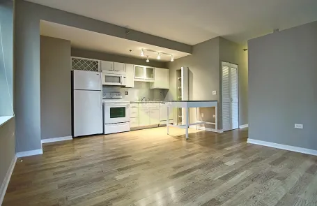 1 Bedroom Chicago Loop Apartment