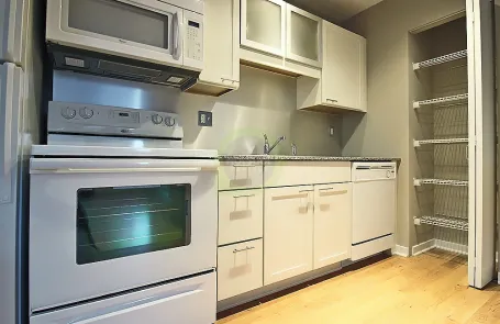 1 Bedroom Chicago Loop Apartment