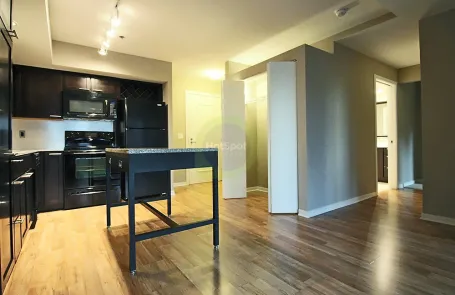 2 Bedroom Chicago Loop Apartment
