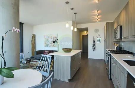 2 Bedroom West Loop Apartment