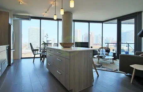2 Bedroom West Loop Apartment