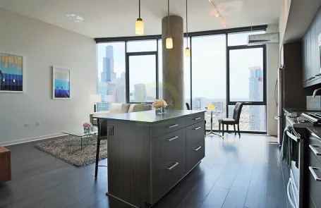 3 Bedroom West Loop Apartment