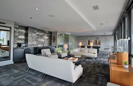 1 Bedroom South Loop Apartment