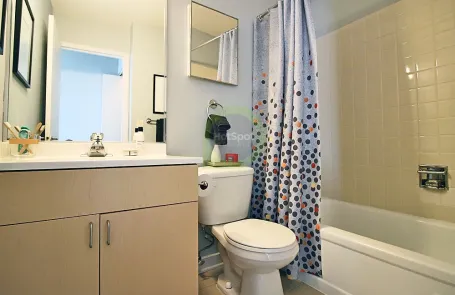 1 Bedroom South Loop Apartment