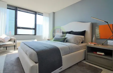 1 Bedroom South Loop Apartment