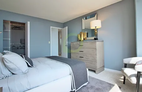 1 Bedroom South Loop Apartment