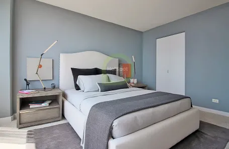 1 Bedroom South Loop Apartment