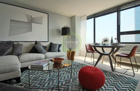 1 Bedroom South Loop Apartment