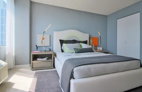 1 Bedroom South Loop Apartment